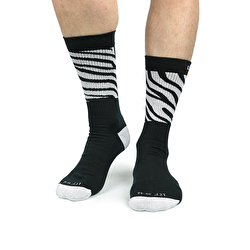 Tennis Zebra Tennis Zebra