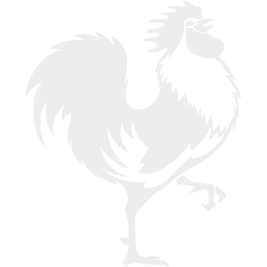 Boxer Marinière
