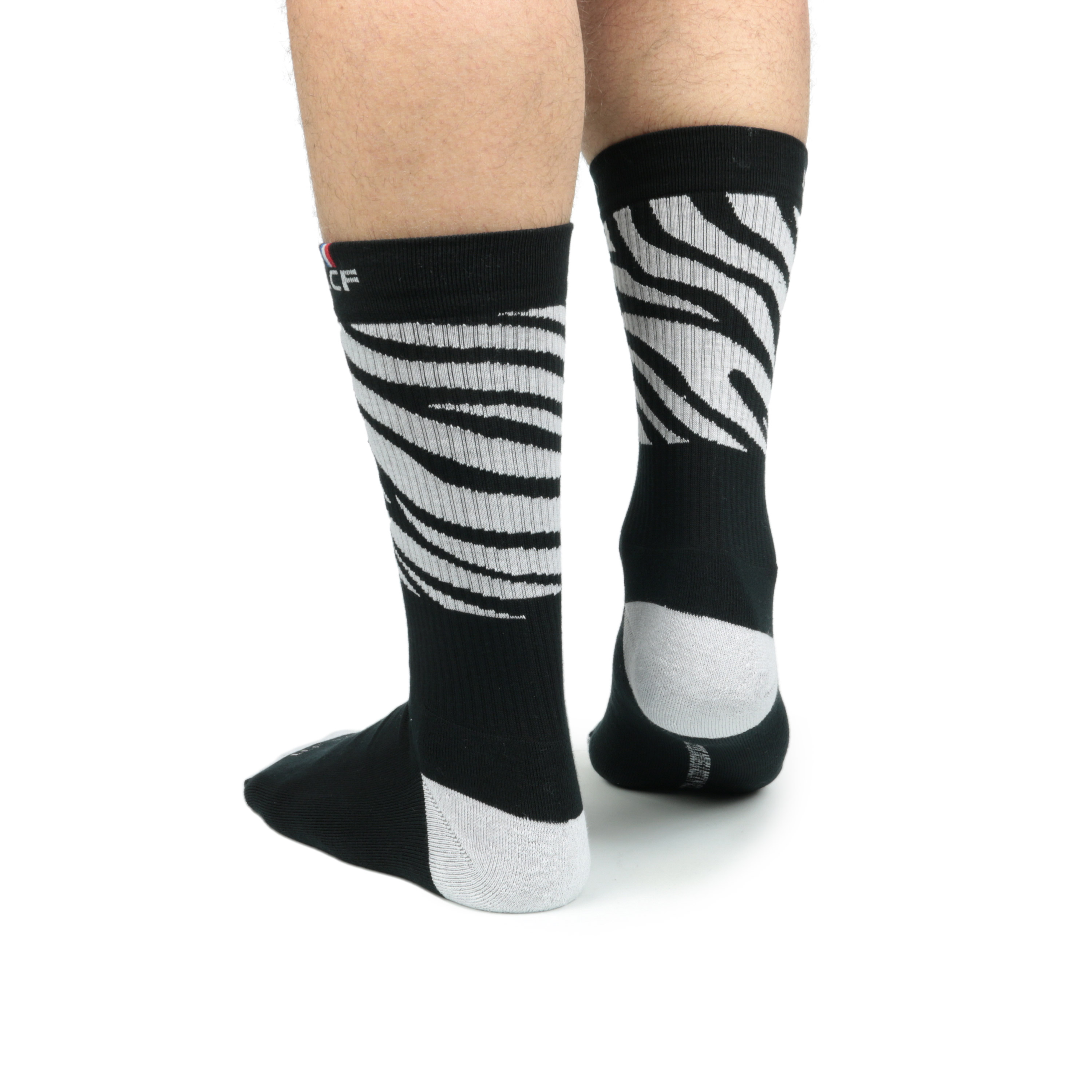 Tennis Zebra Tennis Zebra
